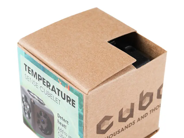 Sustainable Packaging Alternatives Safeguarding the Earth