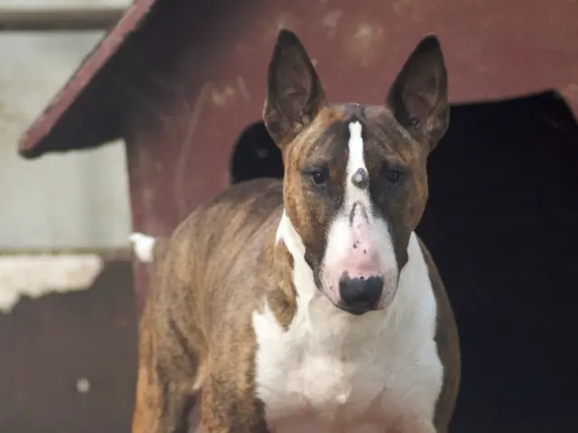 Expanding popularity: Karlsruhe Zoo's distinctive development captures visitors' affections