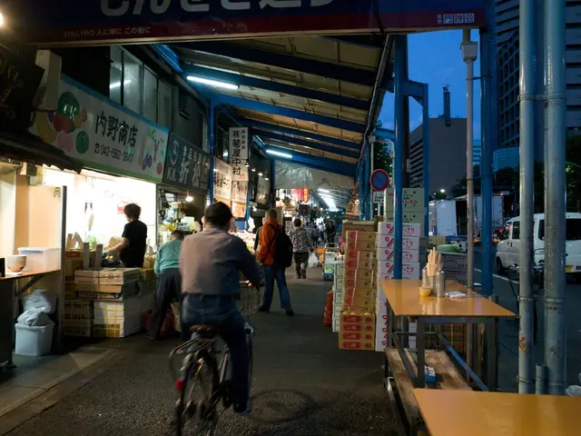 Utilizing a smartphone within Lübeck's boundaries