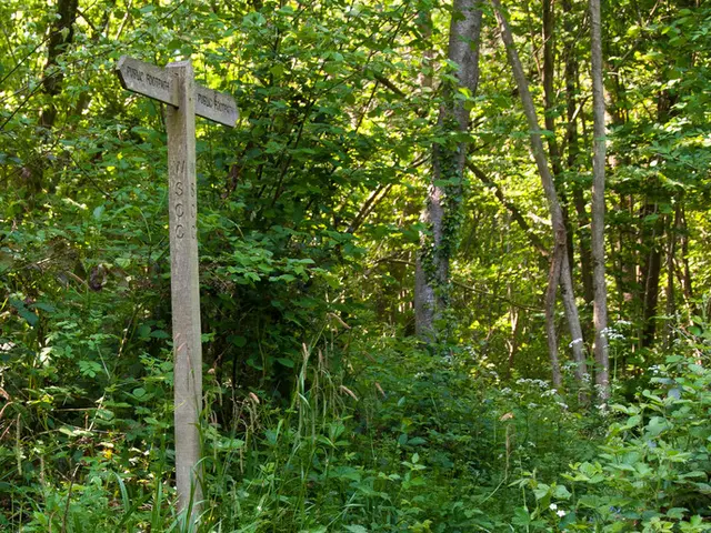 Harness the Potency of Brief Vocabulary: Discovering the Enigmas of Five-Letter Terms Concluding...