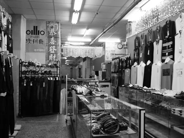 Simplifying Clothes Collection: Benefits of Adopting a Limited Fashion Approach with 5 Key...