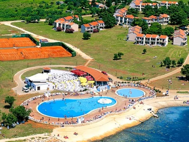 Outdoor Exploration: Safari Stroll through the Animal Kingdom