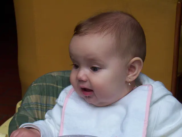 Choosing the Ideal Infant High Chair for Your Little One