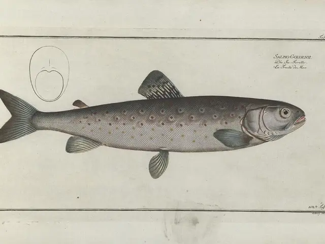 DIY Sparkling Fish Decoration Project