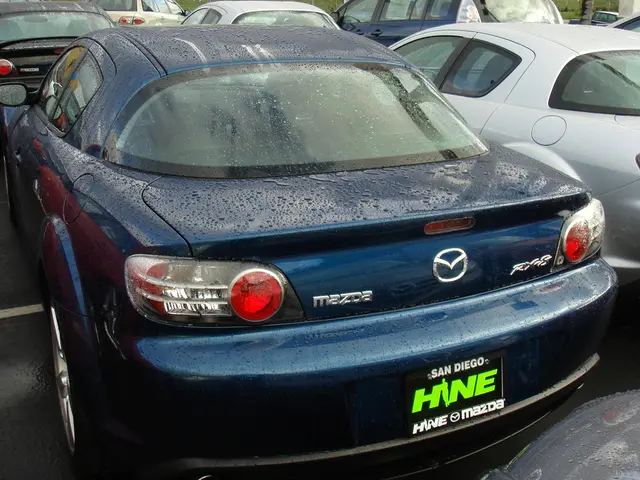 "Garage Containing Ten Cars, Owned and Stocked by an Individual"