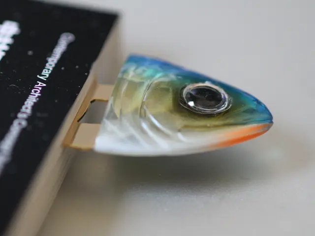 Struck by an unexpected passion, this fresh board game has led me to abandon all other pursuits...