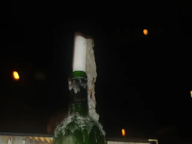 Summer Basil Cooking Innovations: Exploring Unconventional Uses for Your Abundant Basil Harvest