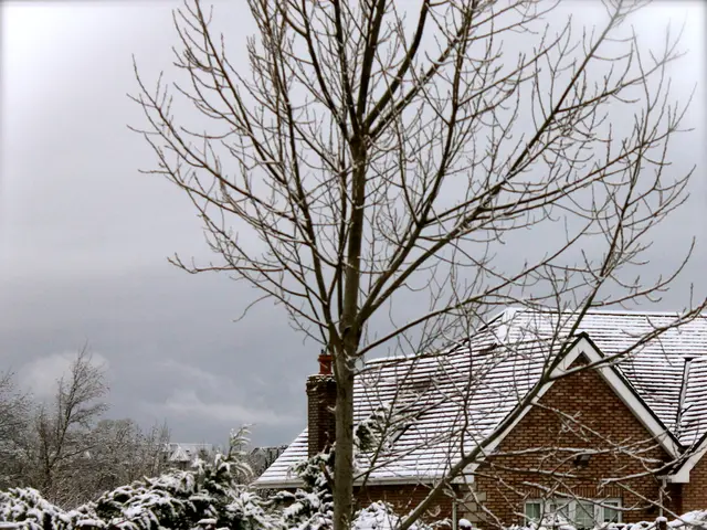 Preparing Your Garden for the Upcoming Snowstorms Predicted by The Farmers' Almanac in 2025: Brace...