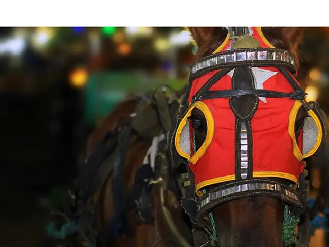 New Development Ahead: Insights on the Fresh Housing Project Along Schloßallee in Dusseldorf-Eller