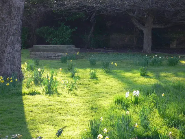 Enthusiasts transformed their Welsh garden, filling it with an array of rare and unique blossoms.