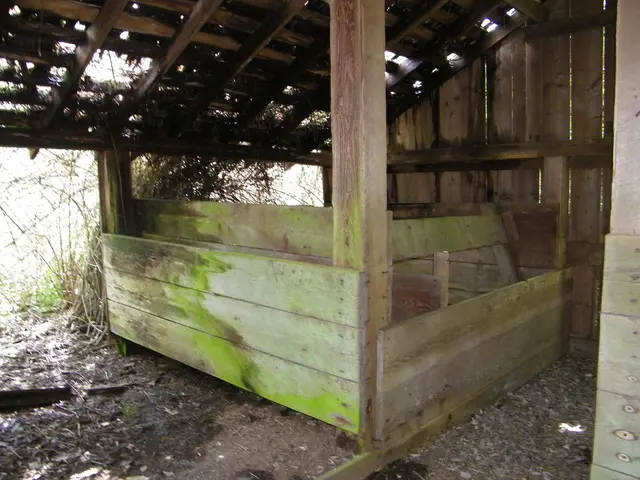 Strategies for Maintaining Wooden Structures: Prolonging the Life Span of Sheds and Balconies