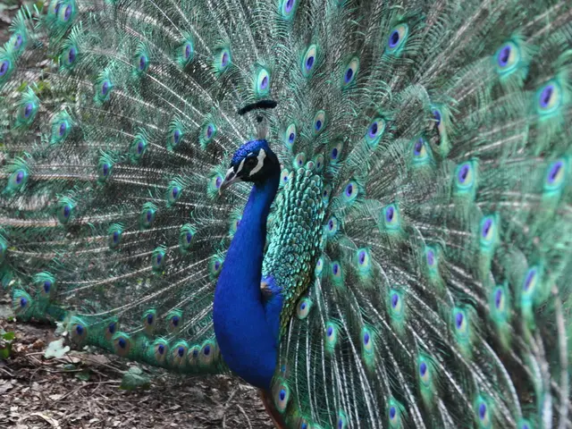 Preparing Soil Ahead for Growing Green Peas: A Handy Guide