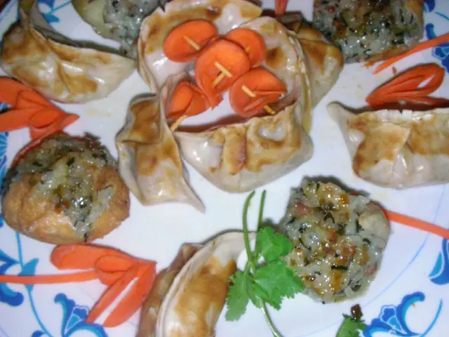 Introducing Festival Waste Reduction: Unveiling Bremen's Versatile Dishwashing Solution