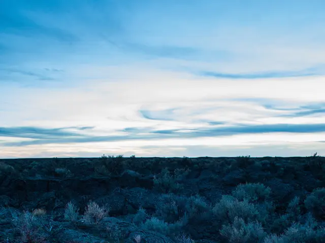 Camping enthusiasts and experienced backpackers might find Costco's latest Fire Starter Kit less...