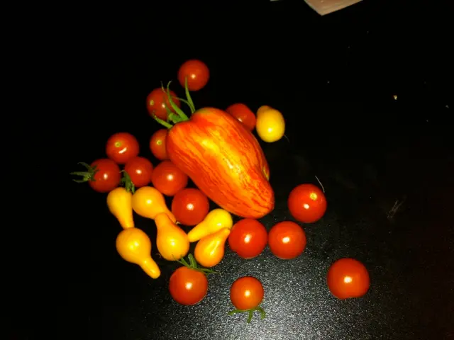 Urban Renewal Project in Southern Romania: Initiative to Grow Fruit Trees in City Environs of...