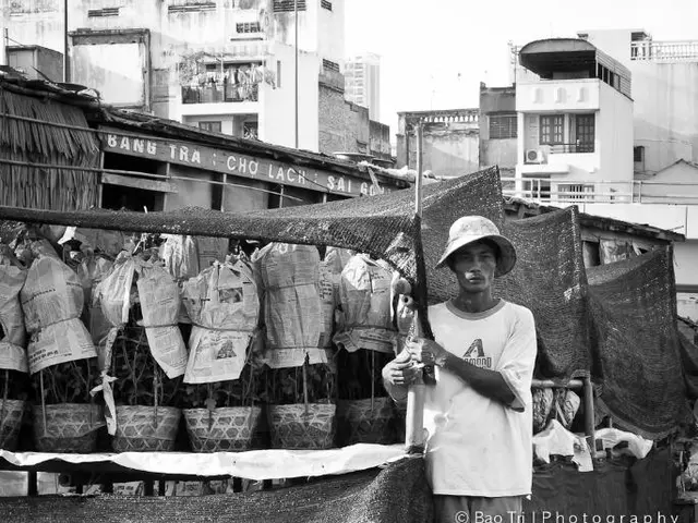 Return of the Film from StrandKino in Niendorf/Ostsee at the cinema