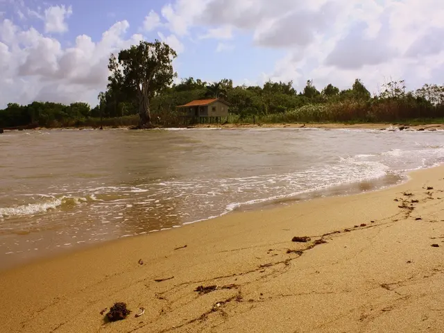 The Importance of Beach Property Management for Achieving Excellence in Short-Term Rental Ventures