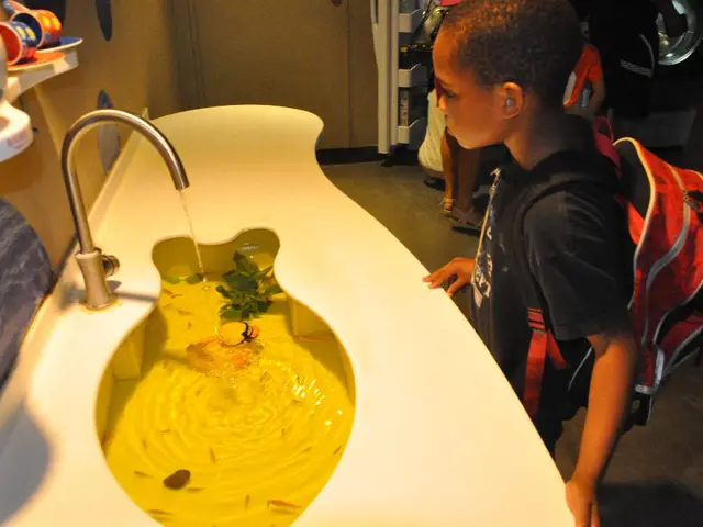 Pupils in Kaarster were treated to eco-friendly presents for academic activities and free time...