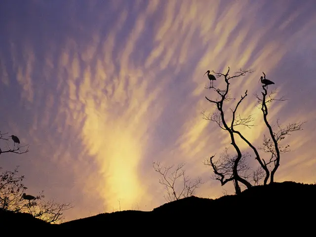 Discovering a Fresh Outlook: Tapping into Your Third Eye's Potential