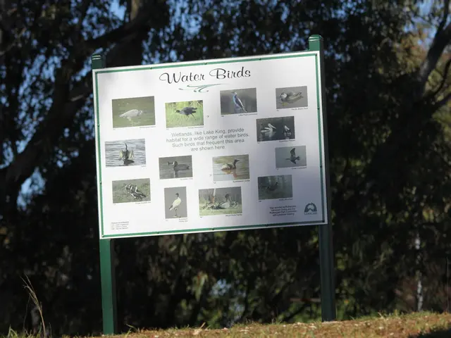 Island of Vogel utilizes goats for ground maintenance work