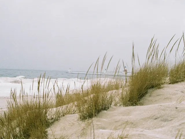 Preparing Lawn Markup in Sand-Prone Terrain: Detailed Walkthrough