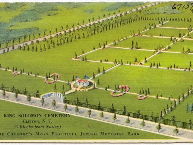 Guide for Defending Against Raccoons and Stone Mares: Safety Measures Explained