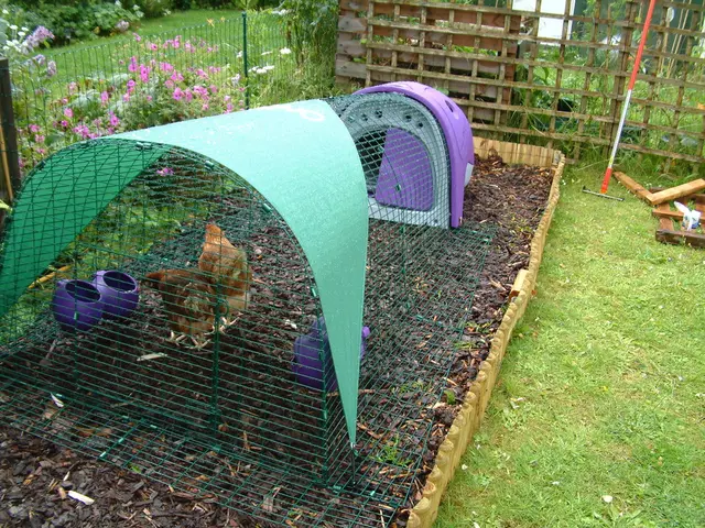 Weekend Glassmaking Jubilee at Geügelhof Giek: A Brew of Tradition for its 60th Anniversary...