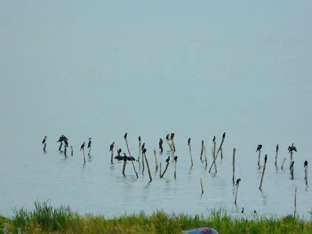 Guided tour for environmental enthusiasts in natural preservation
