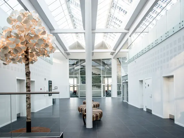 Importance of Line of Sight in Interior Design - Simple Strategies to Enhance Yours at Home