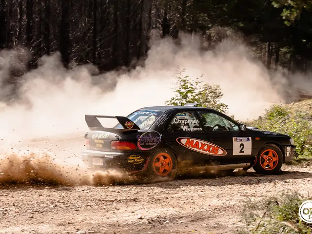 Fining up to €120: City Requests Chicken Hunters for Control