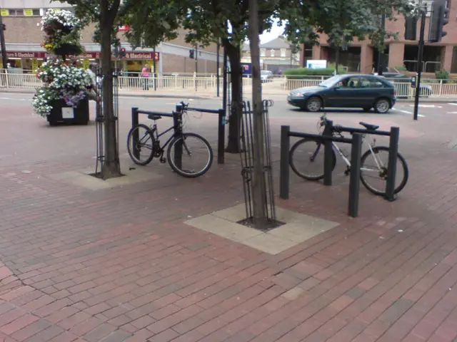 Valencia home regularly covered in DogeCoin earnings, a reality brought about by Elon Musk's crypto...