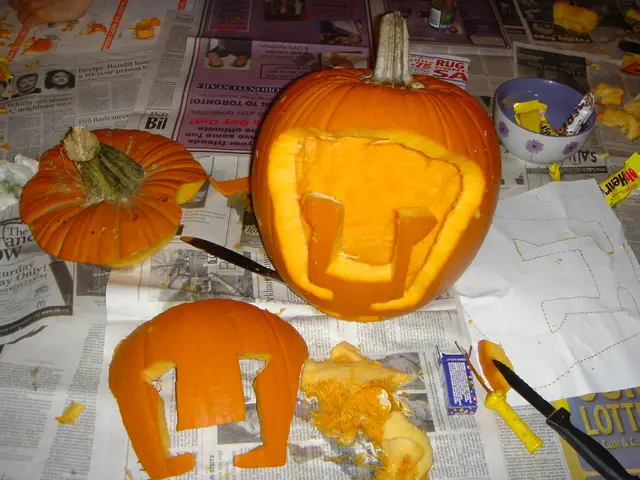 Transformed Pumpkins Take Center Stage in Culinary Delights