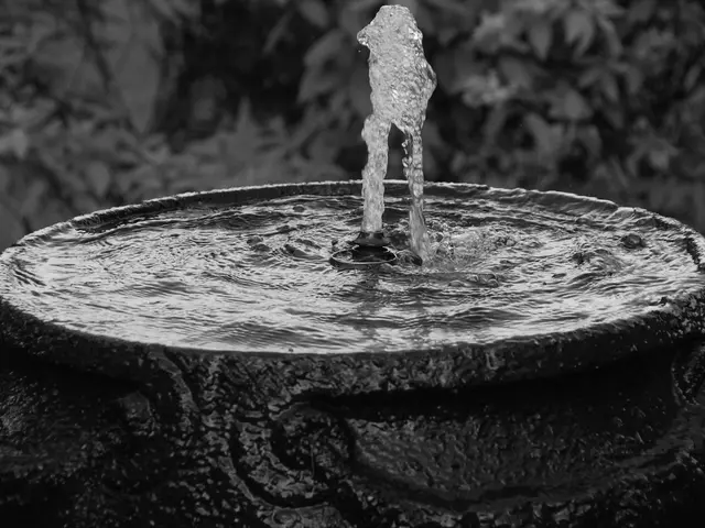 In this image there is a fountain. In the background there are plants.