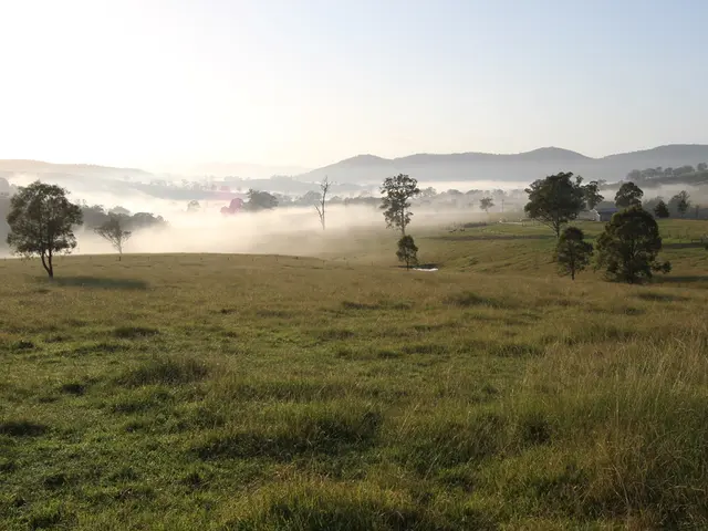 In this image there are trees, hills, building in the background. In the foreground there are...