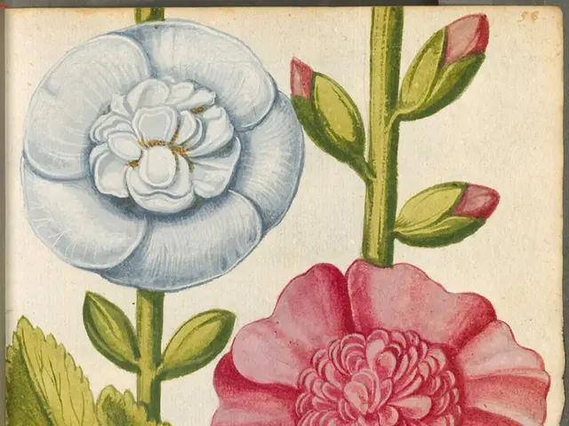 This is a painting and in this painting we can see flowers, leaves and some text.