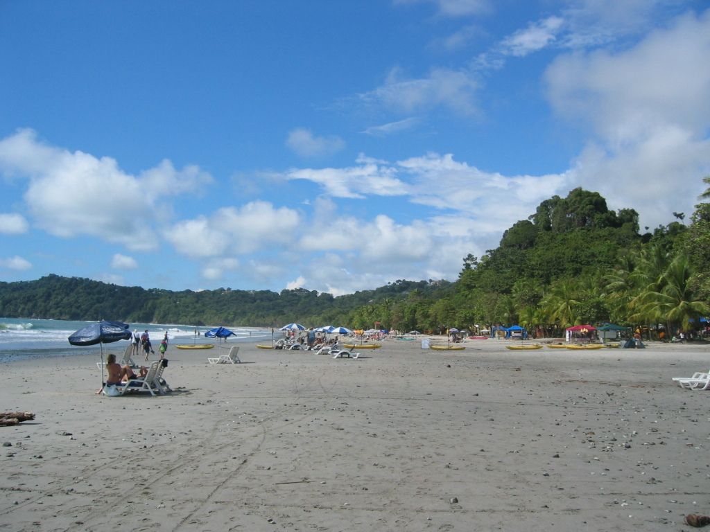 Exploring on foot in Erfurt immediately reveals its green nature, a trait that stands out notably.